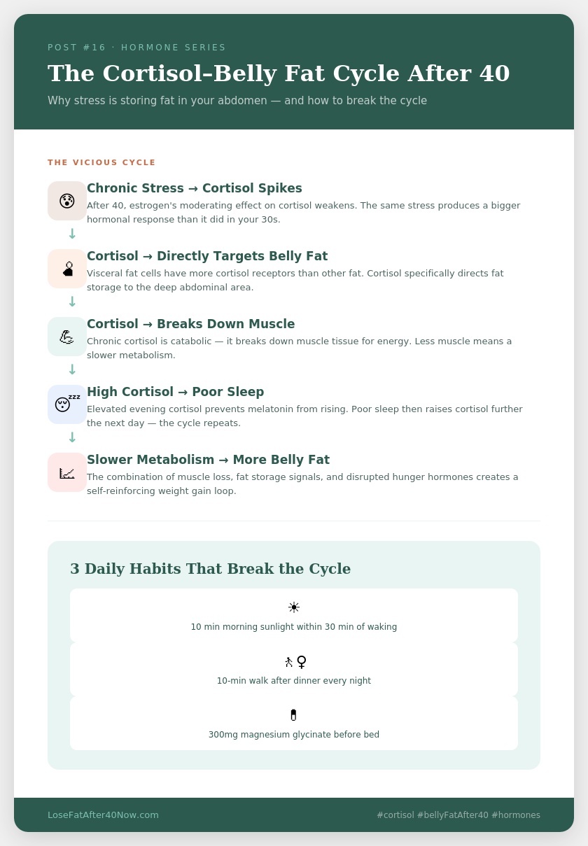 cortisol belly fat cycle after 40 infographic