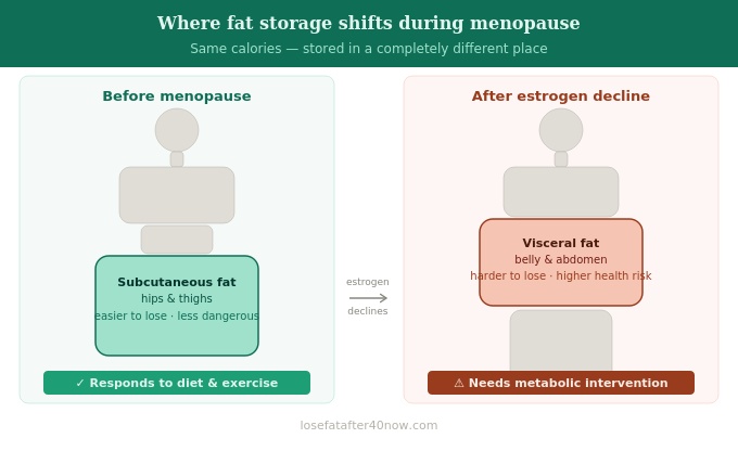 fat storage shift diagram before and after menopause