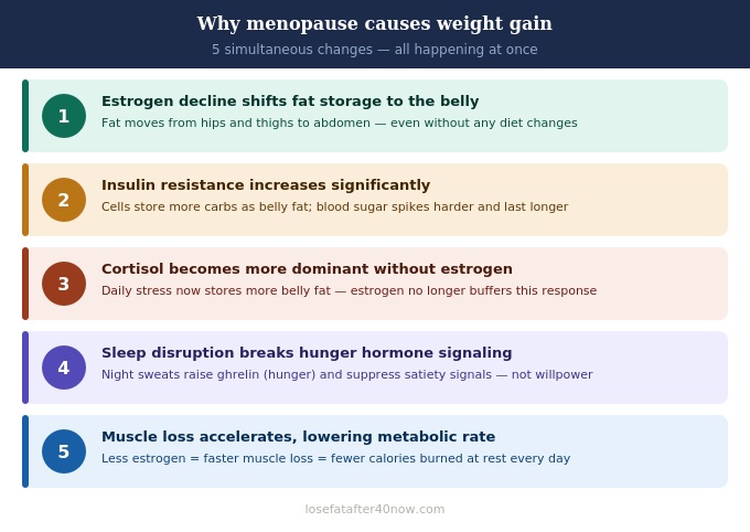 5 mechanisms of menopause weight gain infographic